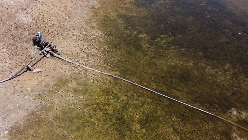 Foto udara menunjukkan kondisi Sungai Efrat terkini yang semakin mengering. (AFP/DELIL SOULEIMAN)