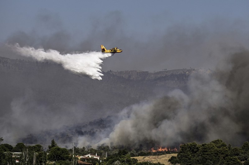 Kebakaran hutan di Pulau Rhodes, Yunani, telah memicu evakuasi sekitar 3.500 orang dari hotel dan tempat tinggal pribadi mereka. Gelombang panas dan angin kencang berkontribusi pada penyebaran kebakaran hutan. (AP/Lefteris Damianidis) Kebakaran hutan di Pulau Rhodes, Yunani, telah memicu evakuasi sekitar 3.500 orang dari hotel dan tempat tinggal pribadi mereka. Gelombang panas dan angin kencang berkontribusi pada penyebaran kebakaran hutan. (AP/Lefteris Damianidis)