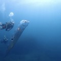 Ikan Kiamat Raksasa Muncul Bawa Petaka Besar, Cek Fakta Ilmiahnya