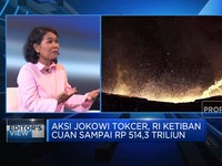 Digugat Eropa & Dikritik IMF,Gimana Nasib Hilirisasi Nikel?