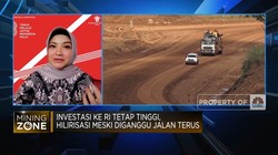 Pemerintah Gelar Karpet Merah Bagi Investor Hilirisasi