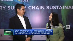 Buka-Bukaan Bos TBP Soal Masa Depan Hilirisasi Nikel RI