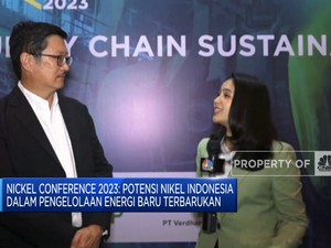 Buka-Bukaan Bos TBP Soal Masa Depan Hilirisasi Nikel RI