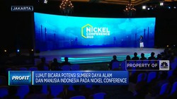 Video: Luhut Ungkap Potensi Nikel RI Dalam Pengelolaan EBT