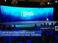Video: Luhut Ungkap Potensi Nikel RI Dalam Pengelolaan EBT