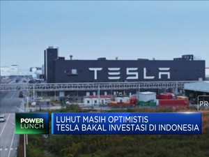Video: Luhut Yakin Tesla Investasi Di RI, PHP Lagi Gak Nih?