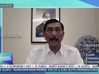 Pabrik Nikel Baru Diminta Disetop, Begini Reaksi Luhut