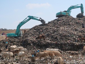 Jepang, China & Eropa Tawarkan Teknologi buat Proyek Sulap Sampah Jadi Listrik