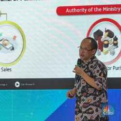 Ini Bukti Nyata RI Kaya Raya, Jadi Juara di Dunia!