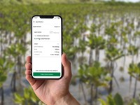 Carbon Calculator Ini Bisa Bantu Bisnis Lebih Hijau, Minat?
