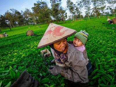 Kepemimpinan Ibu dan Kedaulatan Gizi Nasional