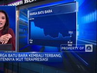 IHSG Menguat Lagi Hingga Harga Batu Bara Masih Terbang
