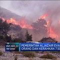 Video: Kebakaran Hutan Aljazair, 34 Orang Meninggal