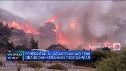 Video: Kebakaran Hutan Aljazair, 34 Orang Meninggal