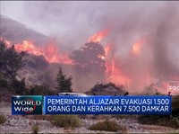 Video: Kebakaran Hutan Aljazair, 34 Orang Meninggal