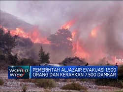 Video: Kebakaran Hutan Aljazair, 34 Orang Meninggal