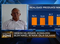 Konsumsi Bijih Nikel Meroket Tajam, Waspada Ancaman Ini!