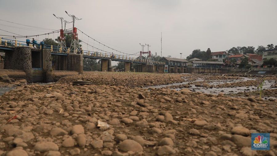 Kekeringan melanda Danau Titicaca di Bolvia. (AP Photo/Juan Karita)