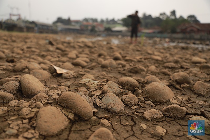 Kekeringan melanda Danau Titicaca di Bolvia. (AP Photo/Juan Karita)
