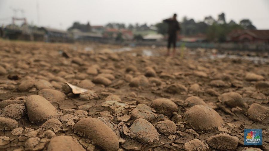 Kekeringan melanda Danau Titicaca di Bolvia. (AP Photo/Juan Karita)