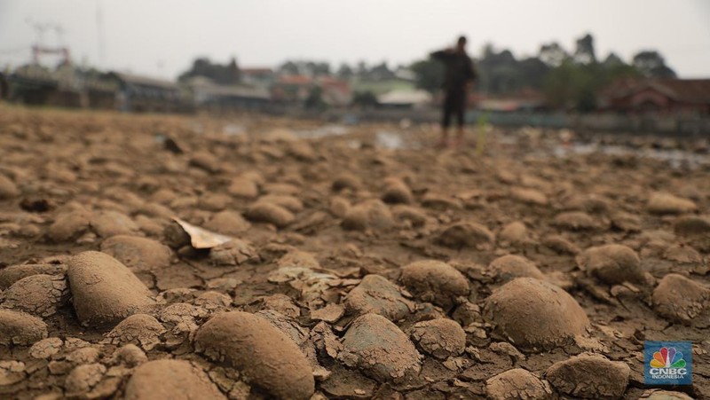 Kekeringan melanda Danau Titicaca di Bolvia. (AP Photo/Juan Karita)