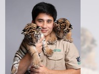 Viral Alshad Ahmad Beberkan Penyebab Kematian Bayi Harimau