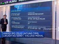 Likuiditas Seret & Valuasi Mahal, IPO ZEUS Layak Dinanti?