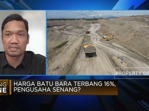 China Bikin Harga Batu Bara Terbang Lagi, Pengusaha Senang?