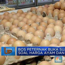 Bos Peternak Minta Revisi Harga Acuan Ayam & Telur