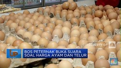 Bos Peternak Minta Revisi Harga Acuan Ayam & Telur