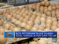 Bos Peternak Minta Revisi Harga Acuan Ayam & Telur