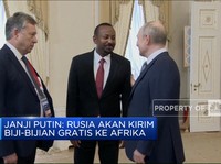 Janji Putin: Rusia Akan Kirim Biji-Bijian Gratis Ke Afrika