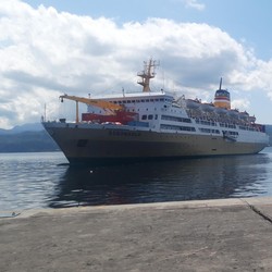 Jokowi Mau Coret Proyek Pelabuhan Baru Ambon, Ini Profilnya