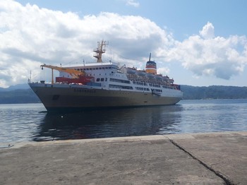 Jokowi Mau Coret Proyek Pelabuhan Baru Ambon, Ini Profilnya