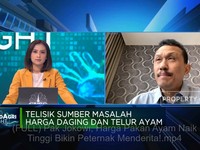 Pak Jokowi, Harga Pakan Ayam Meroket Bikin Peternak Menderita