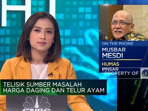 RI Swasembada Ayam & Telur Tapi Harga di Pasar Mahal, Kenapa?