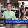 Bahan Baku Susu Masih Impor, RI Kurang Apa?