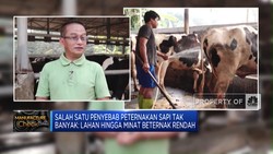 Bahan Baku Susu Masih Impor, RI Kurang Apa?