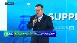Strategi Jitu RI Pikat Investasi Asing di Industri Mineral