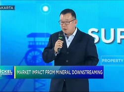 Strategi Jitu RI Pikat Investasi Asing di Industri Mineral