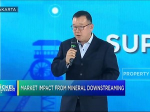 Strategi Jitu RI Pikat Investasi Asing di Industri Mineral