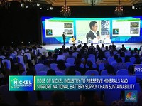 Potensi Keberlanjutan Nickel & Baterai EV RI