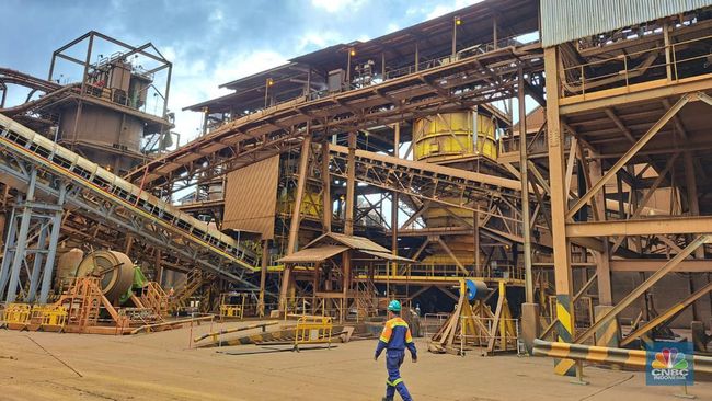 Vale (INCO) Bagikan Dividen 60% dari Laba 2024, Setara Rp 569,3 Miliar