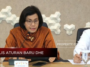 Bagi Tugas Sri Mulyani Hingga BI & OJK Laksanakan Aturan DHE