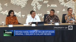 Pemerintah: Aturan Baru DHE Tingkatkan Devisa 2 Kali Lipat