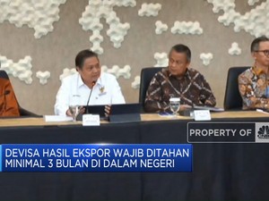 Pemerintah: Aturan Baru DHE Tingkatkan Devisa 2 Kali Lipat