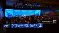 Video: Putin Janji Kirim Gandum Ke 6 Negara Afrika Cuma-Cuma