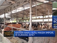 RI Darurat Bahan Baku Susu, Pemerintah Dinilai Tak Peduli