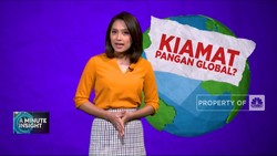 Rusia Ganggu Pasokan Gandum Dunia, Indonesia Kena Dampaknya?