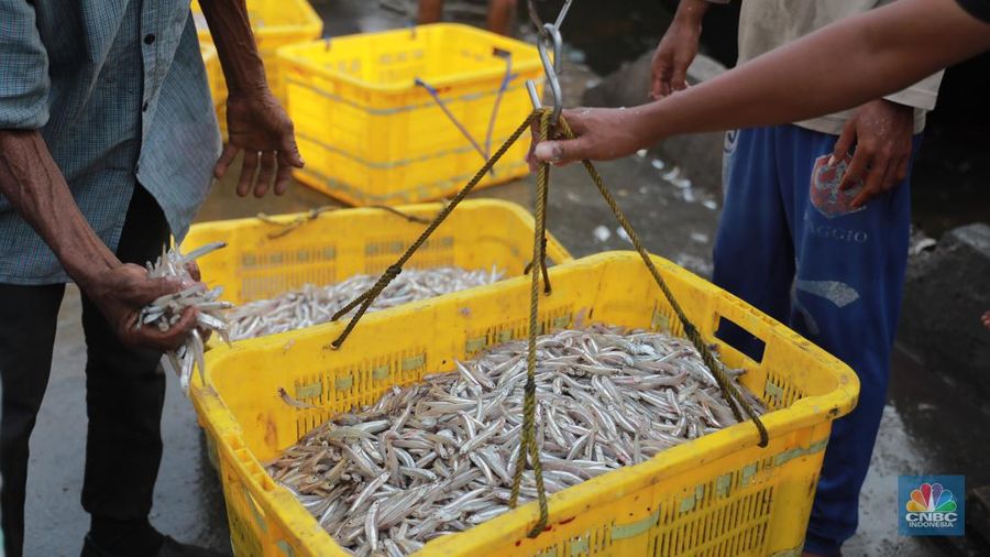 Seorang pekerja/buruh membawa ikan yang diturunkan dari kapal di Muara Angke, Jakarta, Jumat, (28/7). (CNBC Indonesia/Muhammad Sabki)